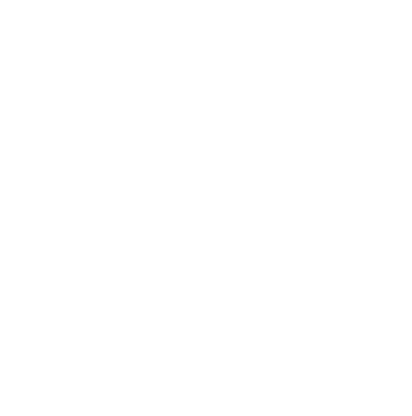 파일:전남로고백.svg