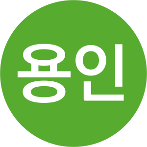 용인에버라인.svg